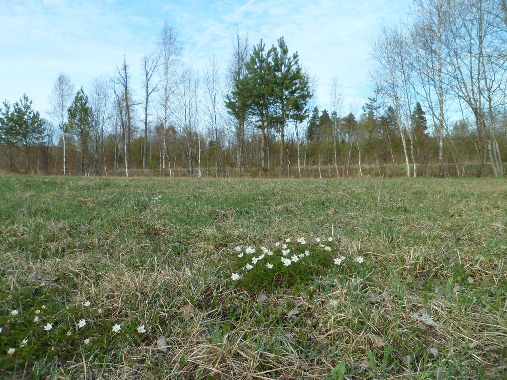 Viruna Farm Kiraste 외부 사진