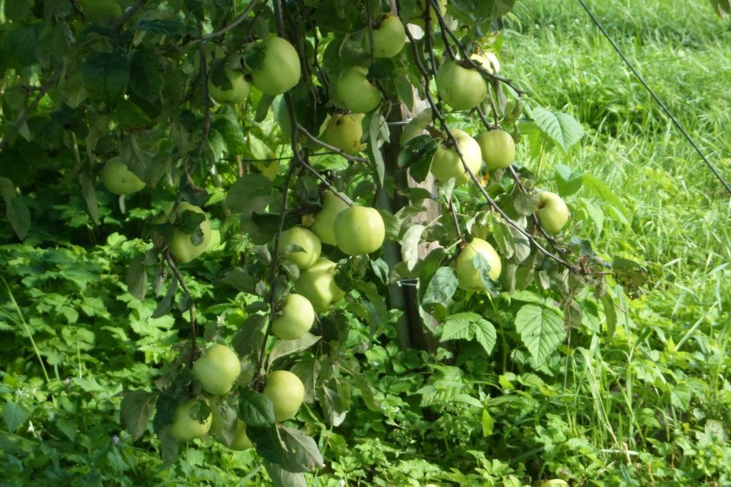 Viruna Farm Kiraste 외부 사진