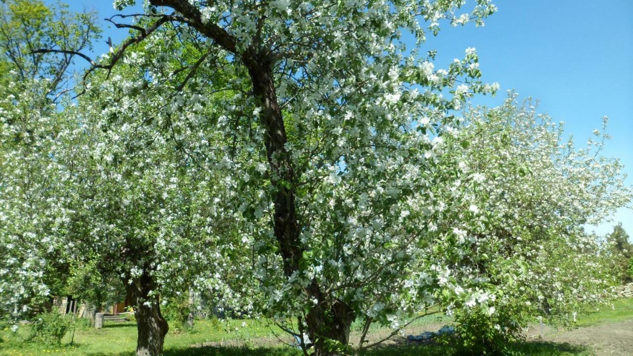 Viruna Farm Kiraste 외부 사진
