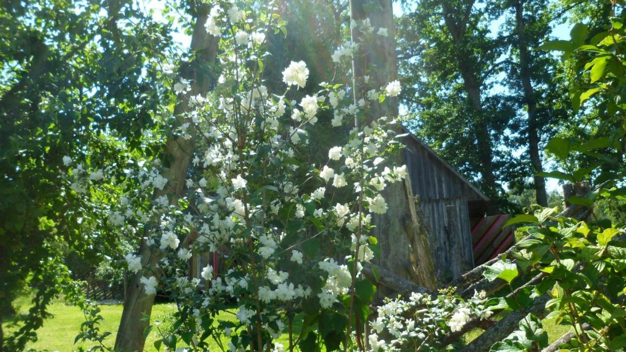 Viruna Farm Kiraste 외부 사진